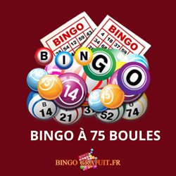 bingo 75 boules gratuit