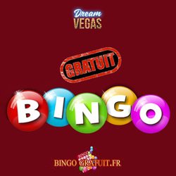 jeux-bingo-casino-dream-vegas