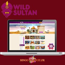 wild sultan casino zoom sur bingo